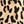 Tan Jana Leopard