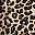 Tan Wild Cheetah