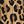 Tan Jana Leopard