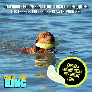 Chew King Glow Boomerang Large Dog Toy