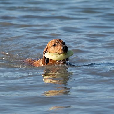 Chew King Glow Boomerang Large Dog Toy