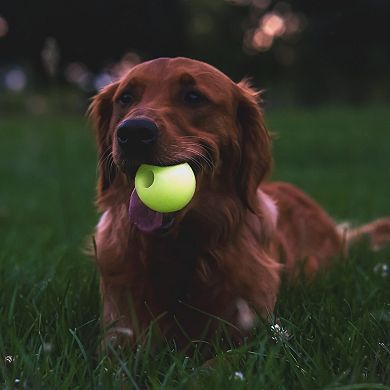 Chew King Green Glow Balls Dog Toy 2-pk.