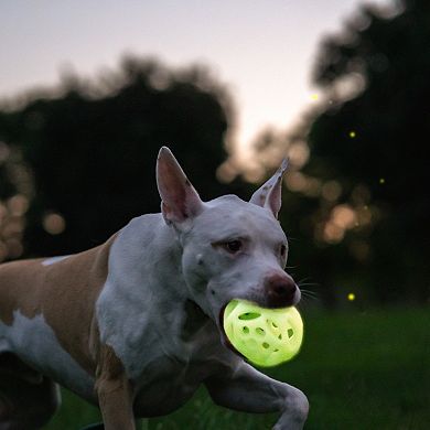 Chew King Green Large Glow Lattice Ball Dog Toy 2-pk.