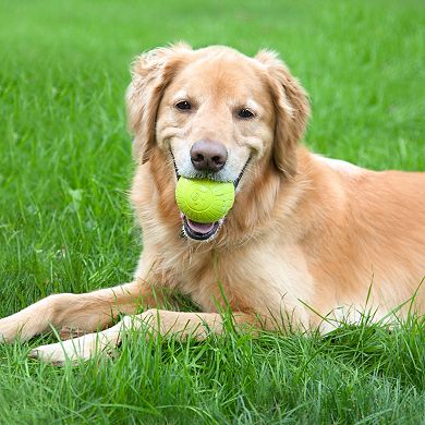 Chew King 3-in. Multi-Colored Fetch Ball Combo Medium Dog Toy 3-pk.