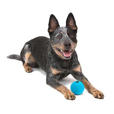Chew King 3-in. Multi-Colored Fetch Ball Combo Medium Dog Toy 3-pk.
