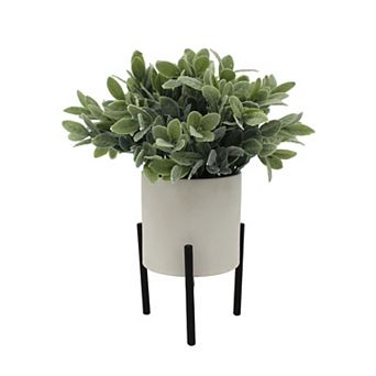 Everyday Decor Artificial Frosted Ruscus in Stand Table Decor