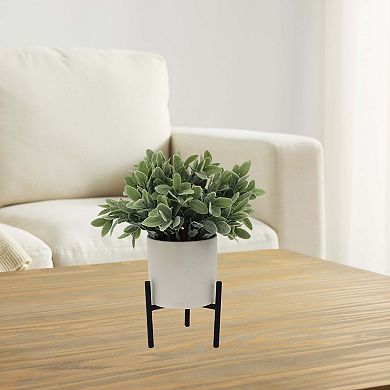 Everyday Decor Artificial Frosted Ruscus in Stand Table Decor