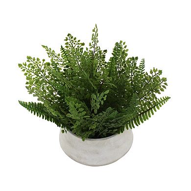 Everyday Decor Mixed Ferns in Low Ceramic Pot Table Decor