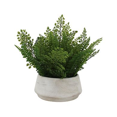 Everyday Decor Mixed Ferns in Low Ceramic Pot Table Decor