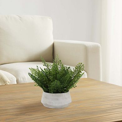 Everyday Decor Mixed Ferns in Low Ceramic Pot Table Decor