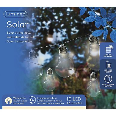 Kaemingk 2 Function Solar Wall Light with Twinkle Effect