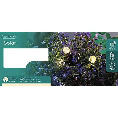 Kaemingk Plastic Steady Solar Planter Stake Light