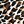 Cheetah Print