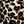 Cheetah Print