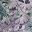 Lavender Floral