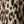Beige Leopard Spots