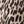 Beige Leopard Spots