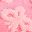 Pink Butterfly