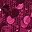 Fuschia