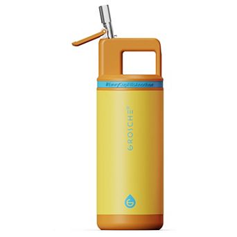 GROSCHE ALPINE Flip 'N Sip Kids 16-oz. Insulated Water Bottle With Straw