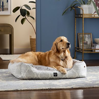 Nicole Miller New York Pet Mod Damask Plushy Bolster Bed