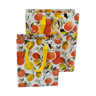 Fruit Gift Bag Set