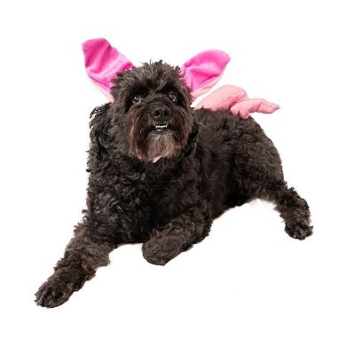 Midlee Dog Pig Halloween Headband Costume with Tail- Large