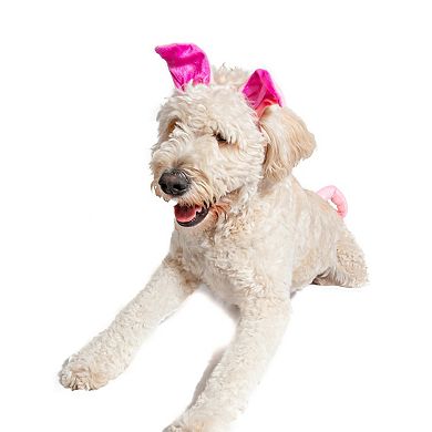 Midlee Dog Pig Halloween Headband Costume with Tail- Large