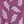 Purple Bolt Print