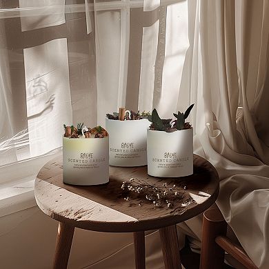 Scented Candle, Festival Gift, Indoor Seasonal Decor