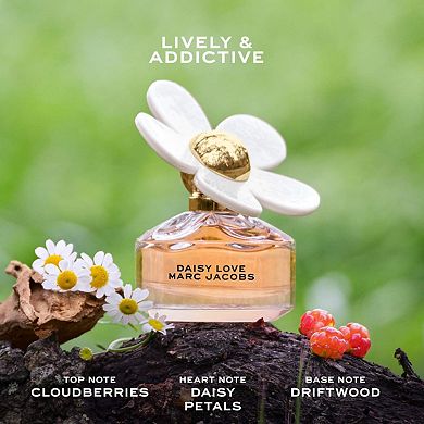 Mini Daisy Collection Sampler Set with Daisy Wild Travel Spray