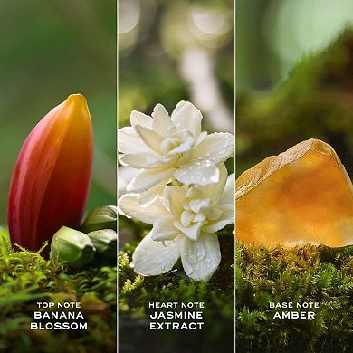 Daisy Wild Eau de Parfum Intense Travel Spray with Banana Blossom Accord, Jasmine & Amber