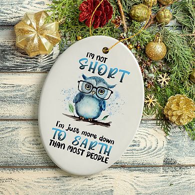 Down to Earth Owl Ceramic Ornament, Cute and Funny Christmas Gift