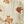 Ivory Ditsy Rose