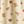 Ivory Ditsy Rose
