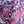 Pink Blue Floral