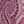 Burgundy Paisley