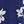 Navy Ivory