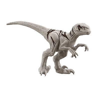 Mattel Jurassic World Rebirth Atrociraptor Dinosaur Action Figure