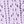 Purple Bow Tackon