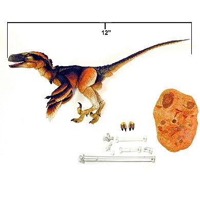 Creative Beast Beasts of the Mesozoic: Dinosaur Figure - Pyroraptor Olympius: Fan's Choice 2nd Release
