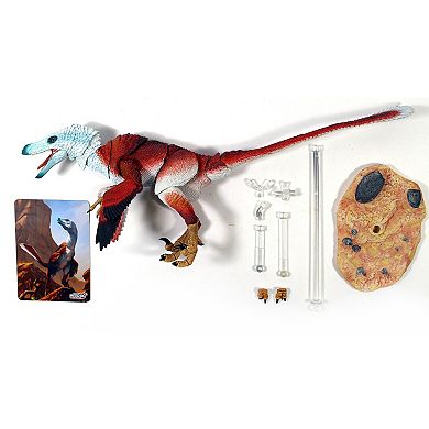 Creative Beast Beasts of the Mesozoic: Velociraptor Osmolskae - "Alpha"