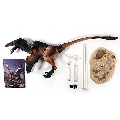 Creative Beast Beasts of the Mesozoic: Velociraptor Mongoliensis