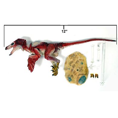 Creative Beast Beasts of the Mesozoic: Dinosaur Figure - Velociraptor Osmolskae V2 Red