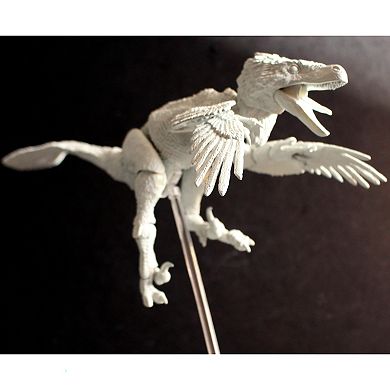 Creative Beast Beasts of the Mesozoic: Build-A-Raptor Set A: Velociraptor