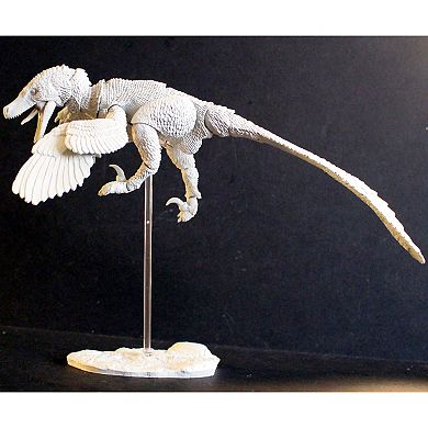 Creative Beast Beasts of the Mesozoic: Build-A-Raptor Set B: Atrociraptor