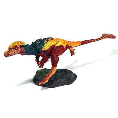 Creative Beast Beasts of the Mesozoic: Dilong Paradoxus