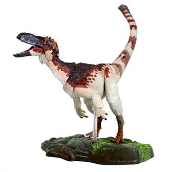 Creative Beast Beasts of the Mesozoic: Suskityrannus Hazelae