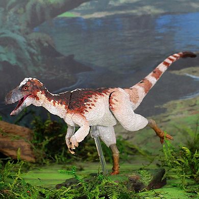 Creative Beast Beasts of the Mesozoic: Suskityrannus Hazelae