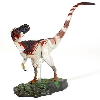 Creative Beast Beasts of the Mesozoic: Suskityrannus Hazelae